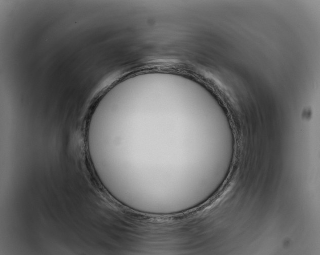 X0000103441354200809121051