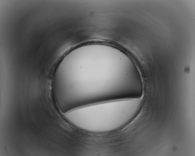 X0000103441355200809121051