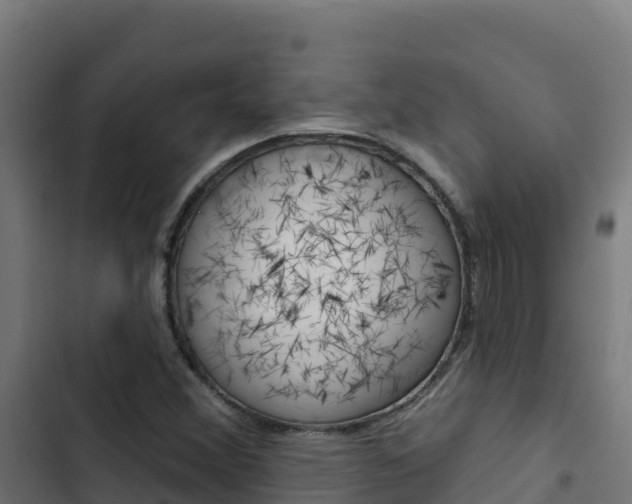 X0000103441356200809121051