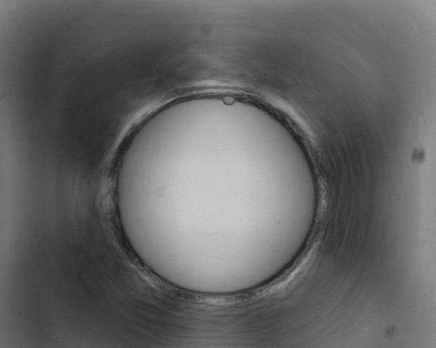 X0000103441357200809121051