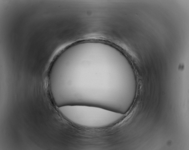 X0000103441358200809121051
