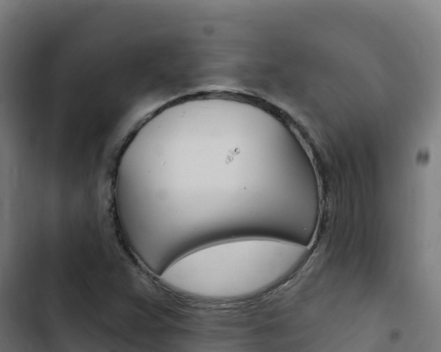 X0000103441359200809121051