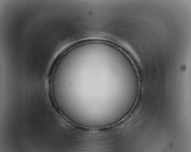X0000103441360200809121051