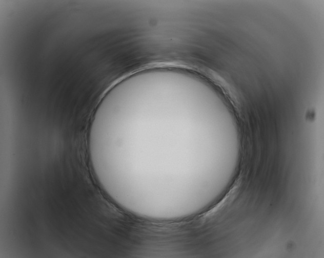 X0000103441361200809121051
