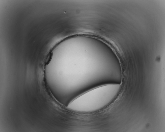 X0000103441363200809121051