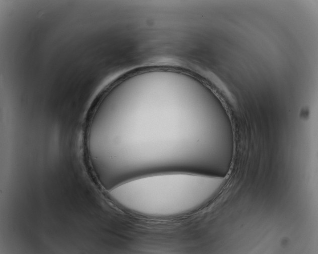 X0000103441364200809121051