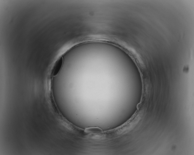 X0000103441365200809121051