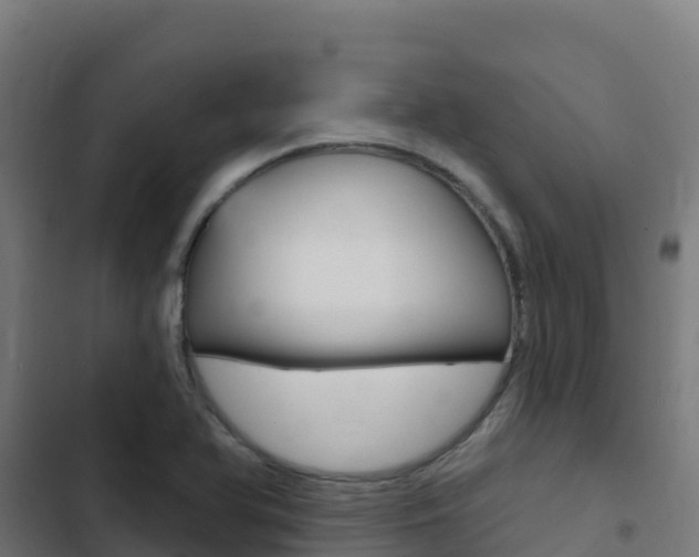 X0000103441366200809121051