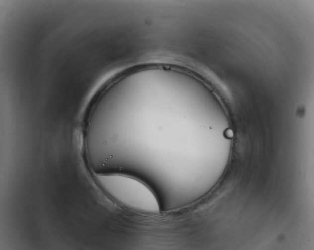 X0000103441368200809121051