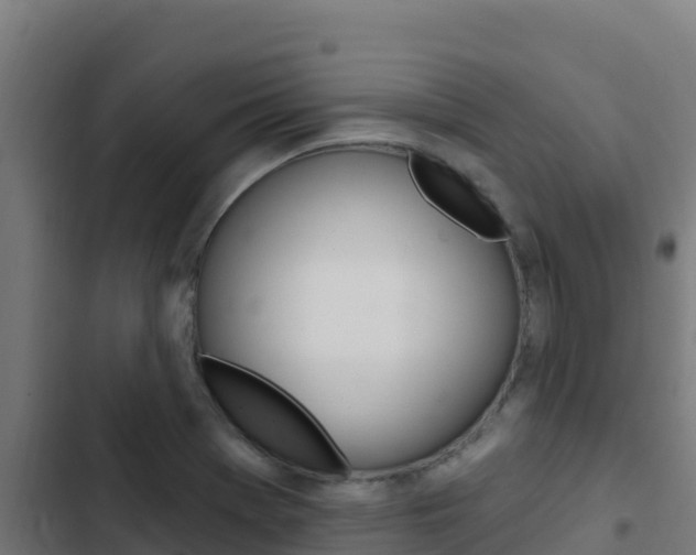 X0000103441369200809121051