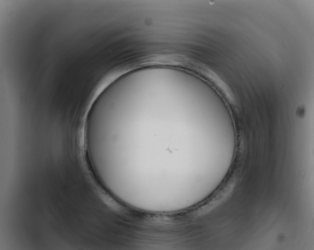 X0000103441370200809121051