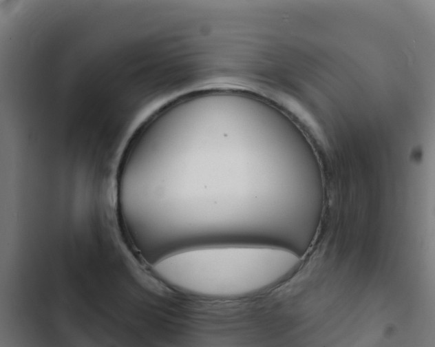 X0000103441372200809121051