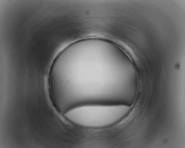 X0000103441373200809121051