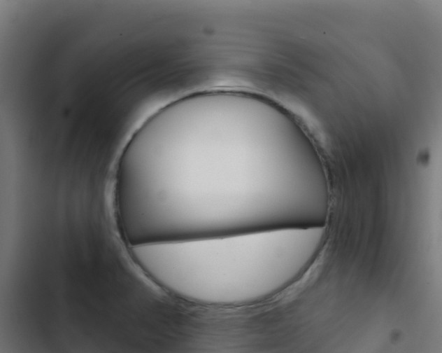 X0000103441374200809121051