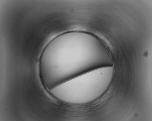 X0000103441375200809121051