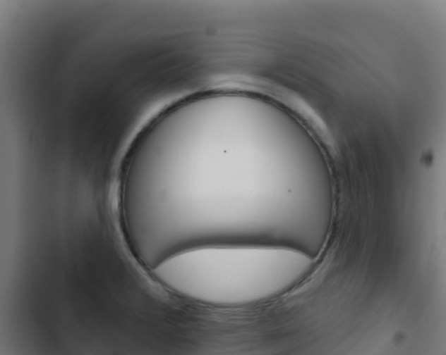X0000103441376200809121051