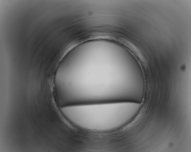 X0000103441377200809121051