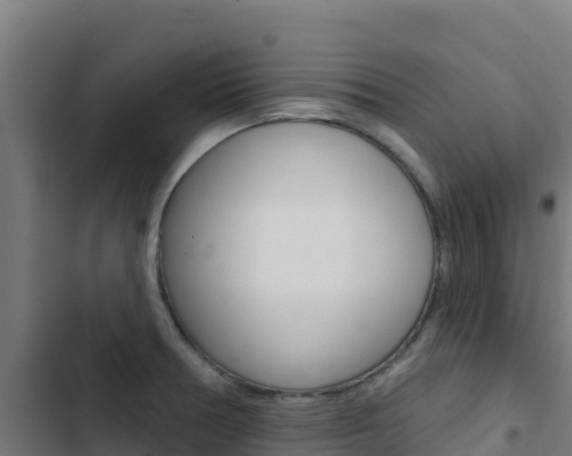 X0000103441378200809121051