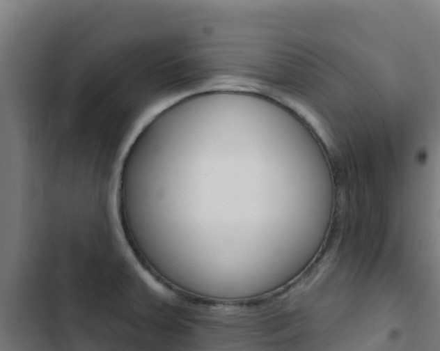 X0000103441379200809121051