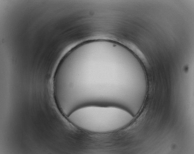 X0000103441380200809121051
