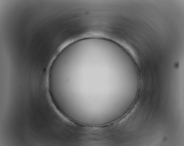 X0000103441382200809121051