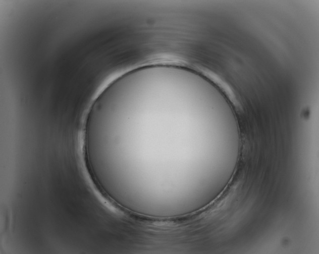 X0000103441383200809121051
