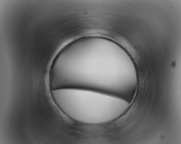 X0000103441384200809121050