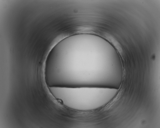 X0000103441386200809121050