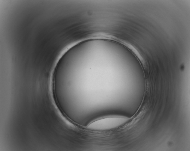 X0000103441387200809121050