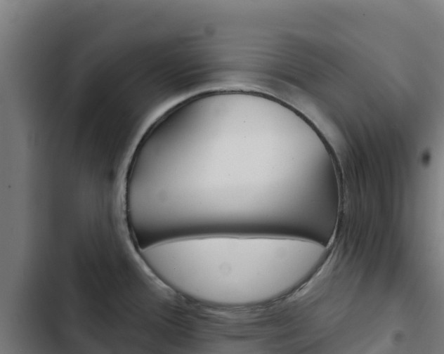 X0000103441388200809121050