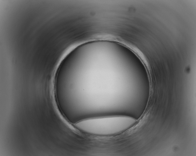 X0000103441389200809121050