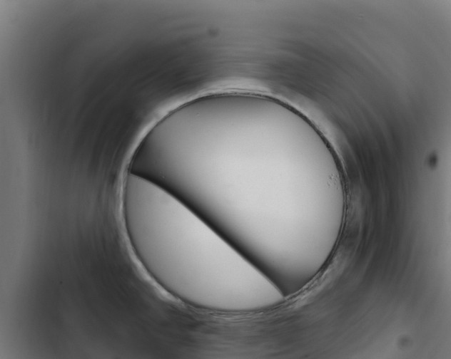 X0000103441390200809121050