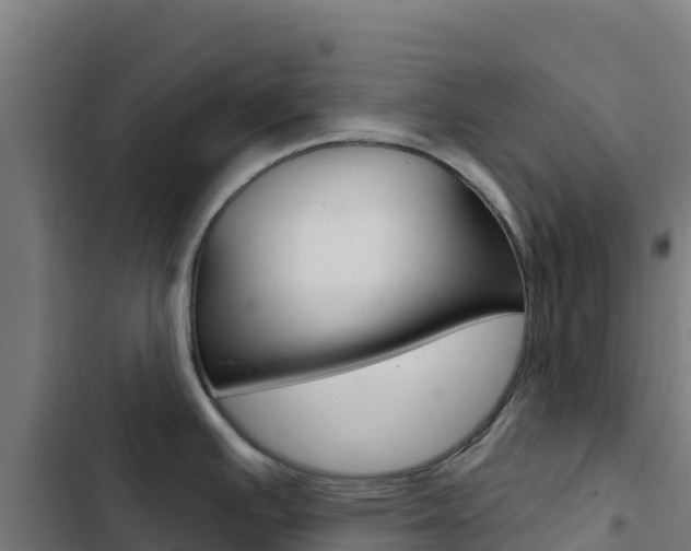 X0000103441391200809121050