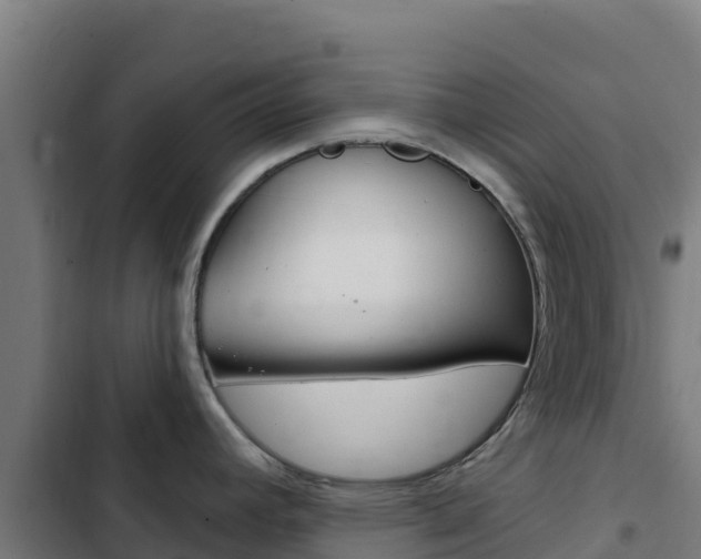 X0000103441392200809121050