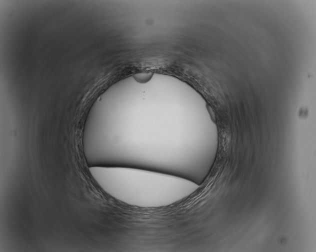 X0000103441393200809121050