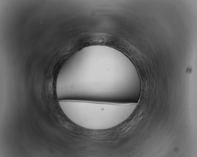 X0000103441394200809121050