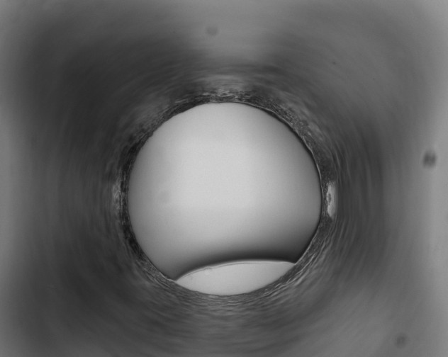 X0000103441395200809121050
