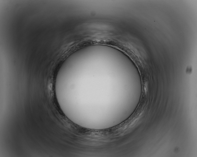 X0000103441396200809121050