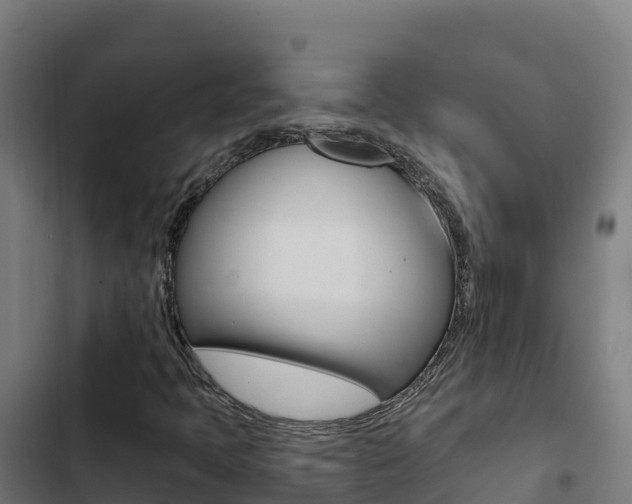X0000103441397200809121050