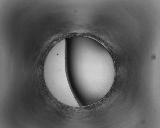 X0000103441398200809121050