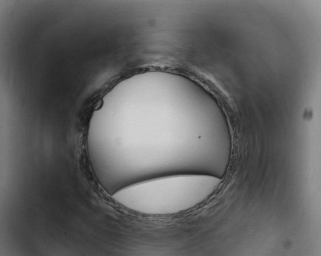 X0000103441399200809121050