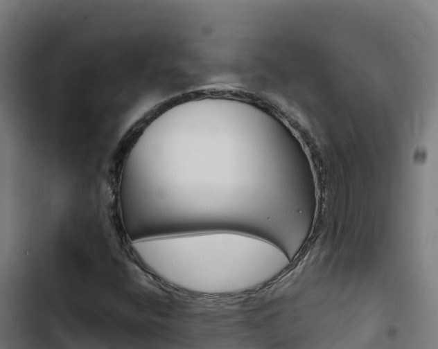 X0000103441400200809121050