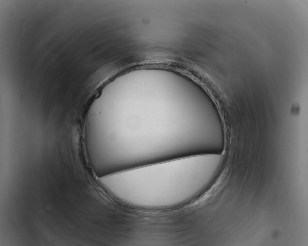X0000103441401200809121050