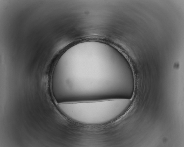 X0000103441402200809121050