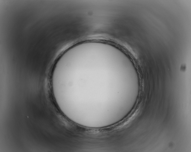 X0000103441405200809121050