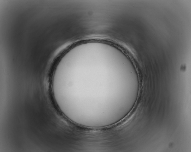 X0000103441406200809121050