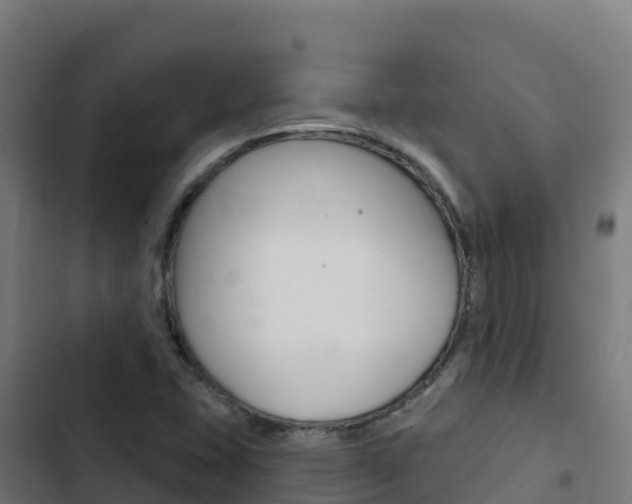 X0000103441407200809121050
