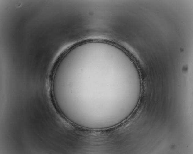 X0000103441408200809121050