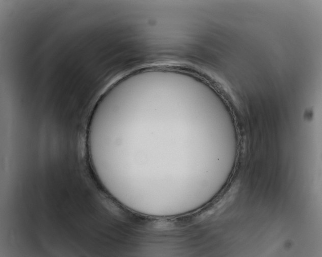 X0000103441409200809121050