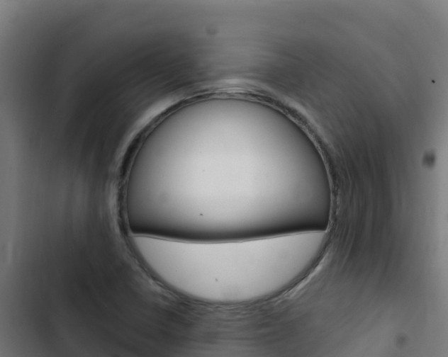 X0000103441410200809121050